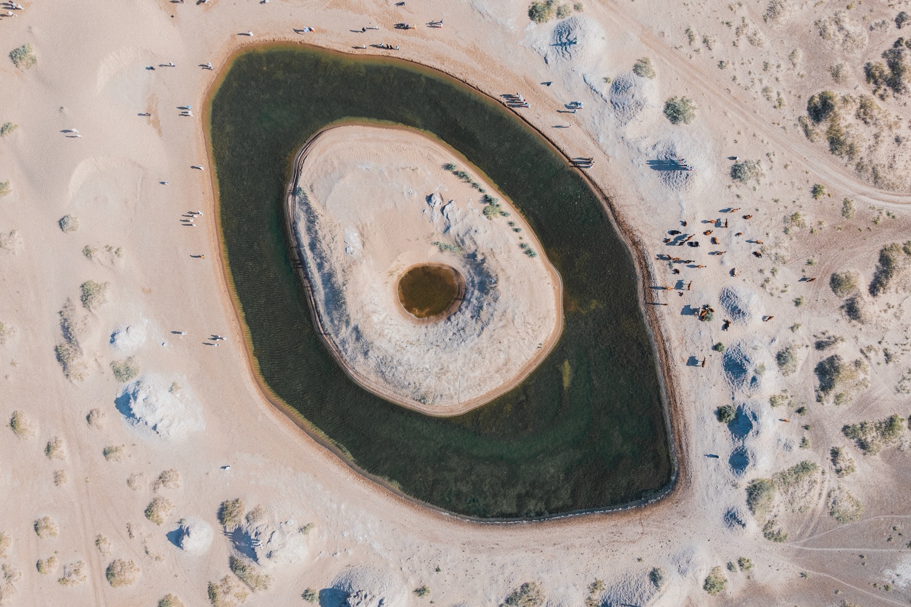 DJI_20260809172402_0006_D