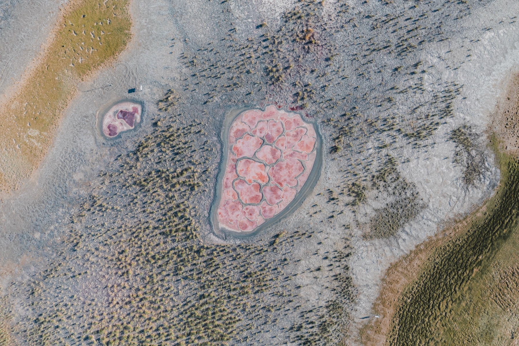 DJI_20260809181604_0050_D