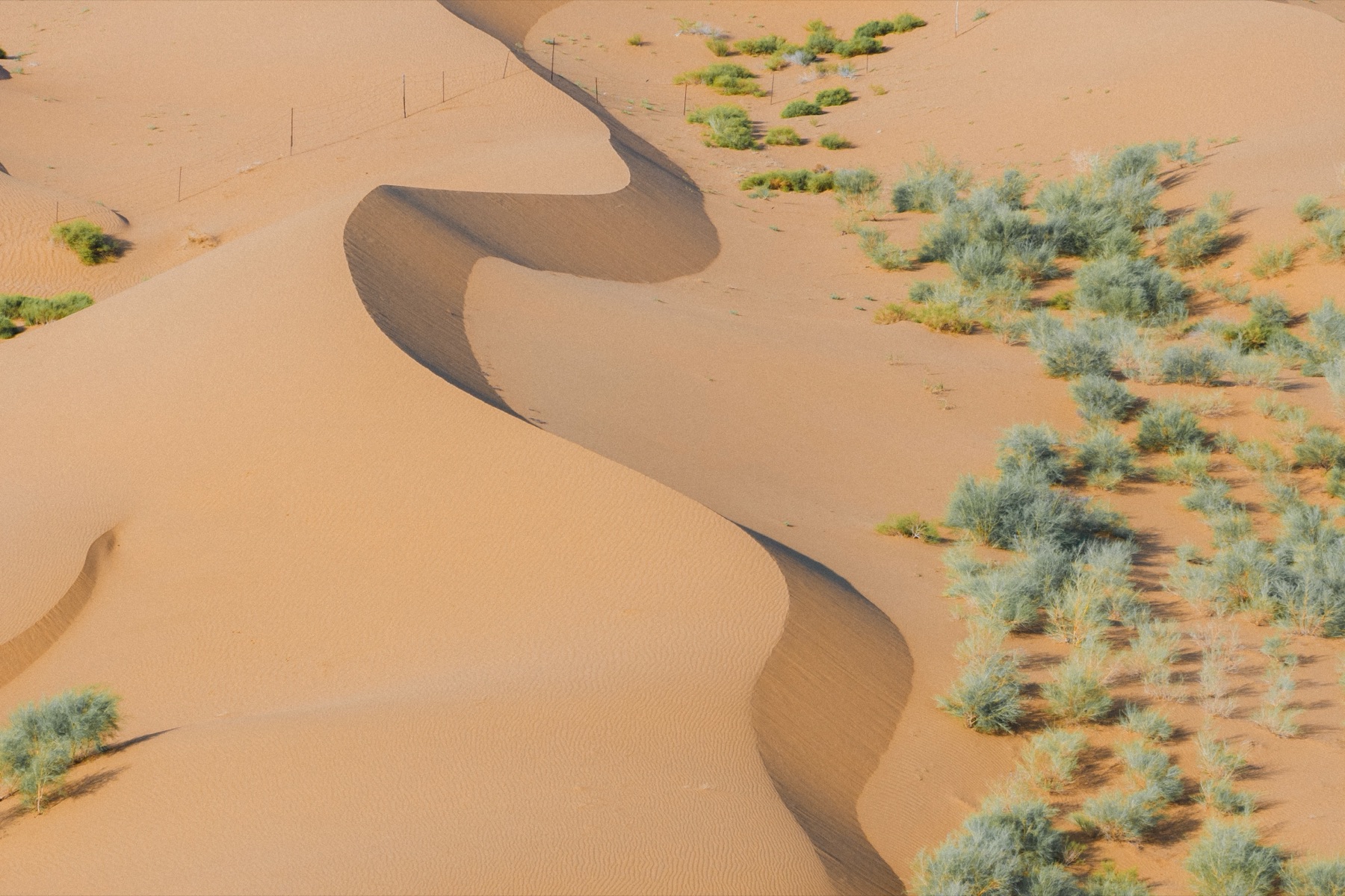 DJI_20260810082908_0107_D